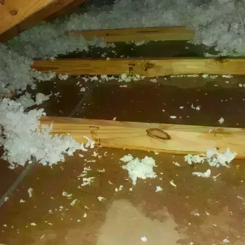 Attic Water Damage in Stoughton, MA